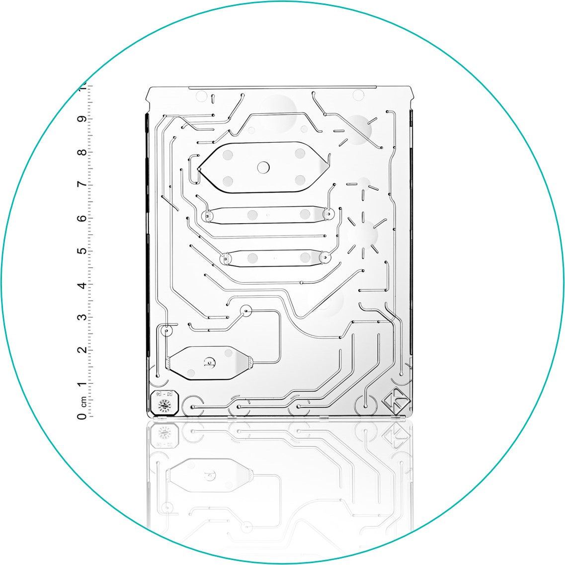 Microfluidic